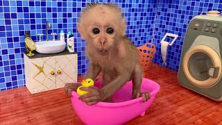 Baby Monkey Bu Bu bath in the bathtub and eat watermelon and duckling So cute