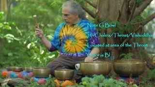 Quick 11 min Chakra Tune Up by the Redwood Tree ~ w/Spinning Bowls