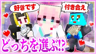 🌈女の子にプロポーズします! 【まいくら / マインクラフト】