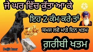 ਜੇਂ ਘਰ ਵਿੱਚ ਕੁੱਤਾ ਆ ਕੇ ਆ 2 ਕੰਮ ਕਰੇ ਤਾਂ ਸਮਜੋ ਮਾੜੇ ਦਿਨ ਖਤਮ।Dhan Dhan Baba Deep Singh Ji