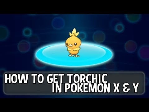 Pokémon X and Y - How To Get Torchic Pokémon X and Y - How To Get Torchic