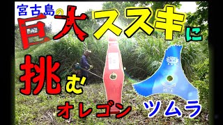 宮古島でツムラ3枚刃とオレゴンシュレッダーブレードで草刈りしてみた/Free overgrown farm mowing [agri.03]