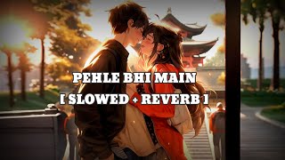 Pehle Bhi Main (Slowed + Reverb) | Vishal Mishra | Animal | Apelo Lofi