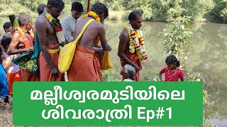 Ep #1| മല്ലീശ്വരമുടിയിലെ ശിവരാത്രി അട്ടപ്പാടി Ep#1|Malleswara Temple Sivarathri | Attapadi