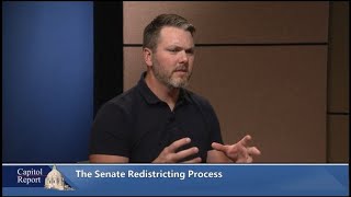 The Senate Redistricting Process