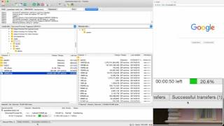 Using an FTP Server / Client