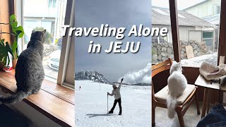 🏝️나홀로 겨울 제주 여행 feat. 한라산 / Solo traveling in Jeju