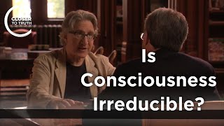 Ned Block - Is Consciousness Irreducible?