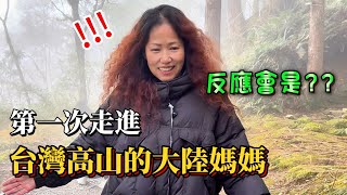 嘴上說著「走出雲南不看山」的大陸媽媽 第一次走進台灣高山反應會是？【Jo裡給給】                                            太平山｜見晴懷古步道｜鳩之澤溫泉