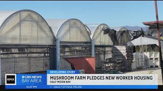 Half Moon Bay mushroom farm promises to build permanent worker housing