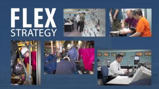 Ensuring Safety - FLEX Strategy