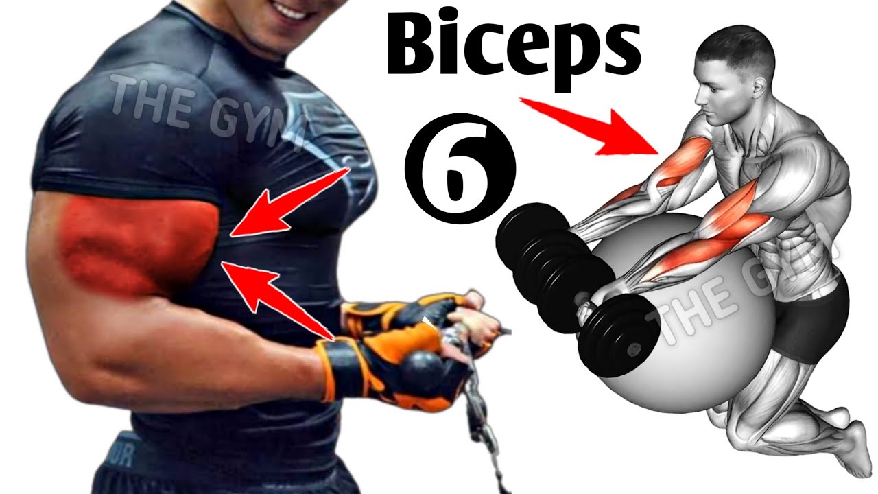 6 Effective Exercises To Build Big Biceps Youtube