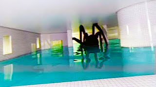 20 Scariest Swimming Pools in the World