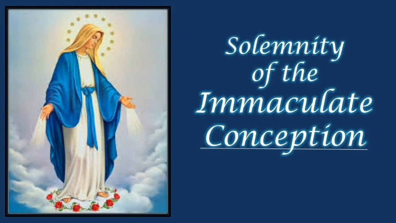 Solemnity Of The Immaculate Conception - YouTube