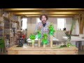 Green Trick Design | Flower Factor How to Make | Powered by HilverdaKooij