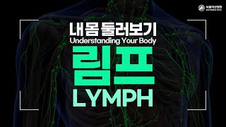 Lymph [Understanding Your Body]