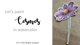 Cosmos in Watercolor