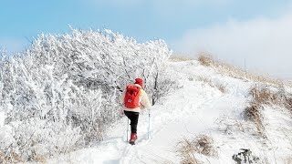 광천 오서산 눈꽃산행