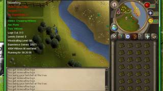 RSBOT BOTTING INFORMATION