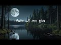 جمال الوجود | مع الكلمات _  [ lyrics  |  The Beauty of Existence  [ jamal alwujud