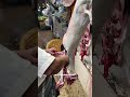 Full goat cutting #goat #meat #mutton #reels #trendingreels #reelsvideo #cuttingskills #shorts