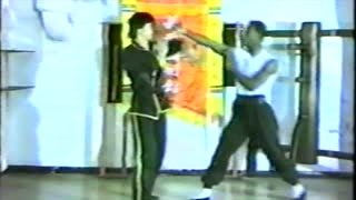 Blocking From The Side And Striking The Groin - Wing Chun Chiam Kiu Applications 3