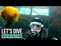 Come on a Winter Dive! Virtual Visit to the Alaska SeaLife Center