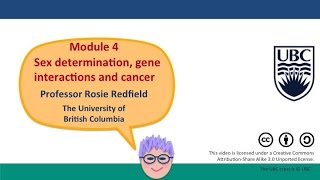 Module 4 Overview