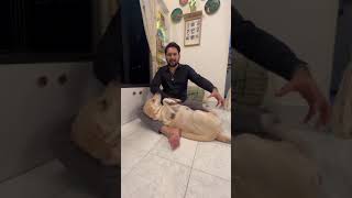 Siddharth Chandekar Fun with his Dog | सादर आहे... खोबरं खवायचं नवीन यंत्र  #dora #dorathedog