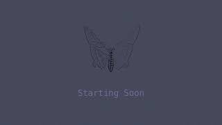Back at it With SVG-CLJ work and a Great Raid :) , Clojure dev. VOD 141