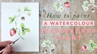 How To Paint A Watercolour Strawberry Plant