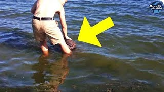 Um homem estava na praia quando de repente sentiu algo puxar suas pernas!