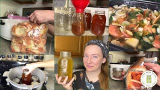 Onion Broth Recipe | Pressure Canning Tutorial 🧅🫙🧅