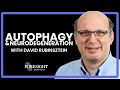 David Rubinsztein, Cambridge | Autophagy and Neurodegeneration