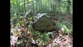 An Old Ghost Town Cemetery on an Island along the New River is Nearly Lost to Time in West Virginia