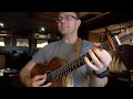Whack fol the Diddle - Taylor Mini - Irish Traditional
