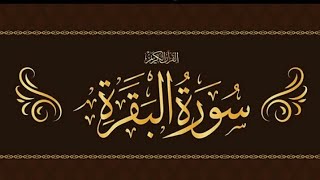 Surah Baqhra beautiful recitation | Para No 3 | verses  253 to 286 | Guided By Quran |