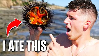Catching And Eating LIVE Sea Urchin