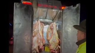 Ojo dónde compra la carne: desmantelan matadero clandestino en Bogotá