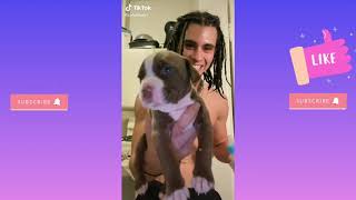Best of cyrus dobre tiktok!!!!