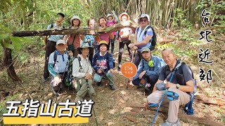 新北市汐止區 五指山古道-2023/10/19