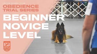 UKC Obedience - Train Your Dog for the Beginner Novice Level | United Kennel Club