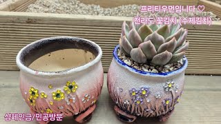 24.5.27.샴페인금을 민공방분 신상에 식재해요.미소토는 다육이가 웃어요.