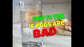 Bad Egg or Fresh Egg? Try This Simple Test