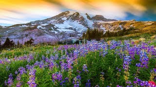 Everything is Connected – 6tea9