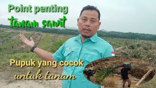 Poin poin penting dalam penanaman kelapa sawit serta pupuk dasar yang cocok untuk awal tanam