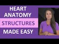 Heart Anatomy: Chambers, Valves, & Structures Nursing Review