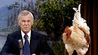 A Rooster Leaves a Gift on Johnny's Desk on Carson Tonight Show - 03/24/1978