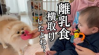 生後5〜6ヶ月かいくんの成長記録！ぺこに離乳食食べられてました。。