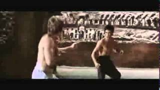 Bruce Lee vs Chuck Norris